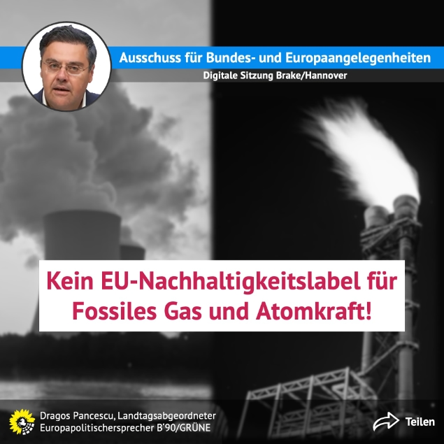 Europaausschuss 11/21