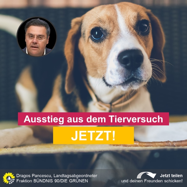 Ausstieg aus dem Tierversuch