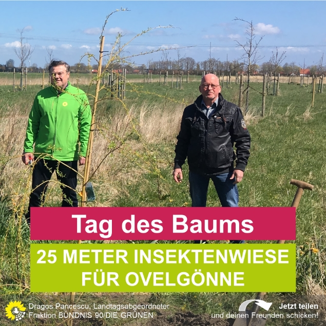 Tag des Baums