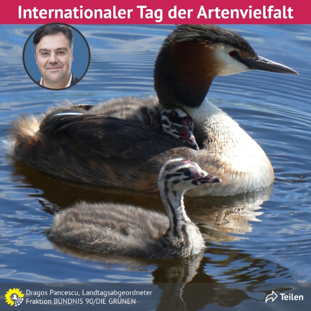 Internationaler Tag der Artenvielfalt