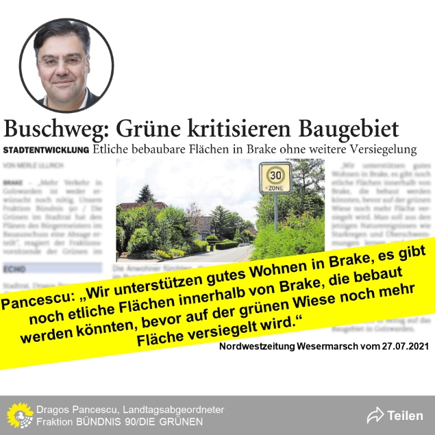 PM - Buschweg: Grüne kritisieren Baugebiet